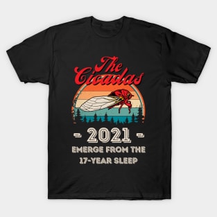 The Cicadas 2021 Emerge From The 17-Year Sleep, Funny Cicada Lover T-Shirt